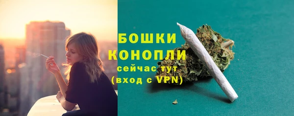 спиды Сосновоборск