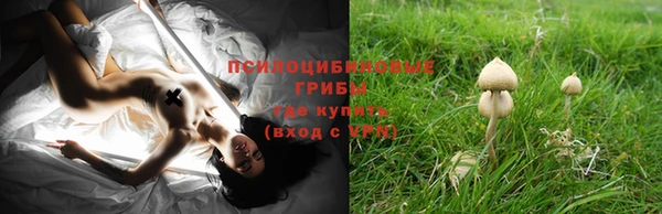мдма Горнозаводск