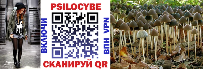 Псилоцибиновые грибы Psilocybe  Железногорск 